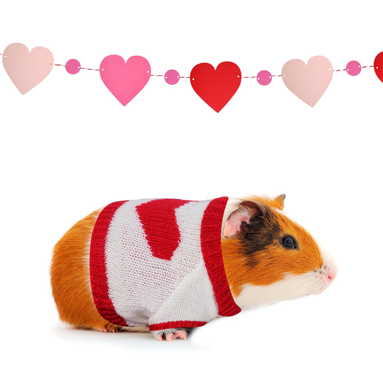 Étiquettes et emballage Noël Choyaxo pour petit animal, cadeau charmant.