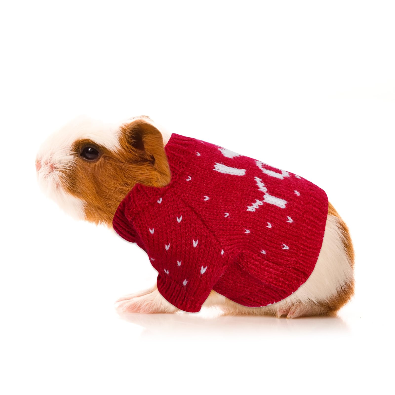 Mode hiver Choyaxo pour petit animal, vêtement confortable et élégant.