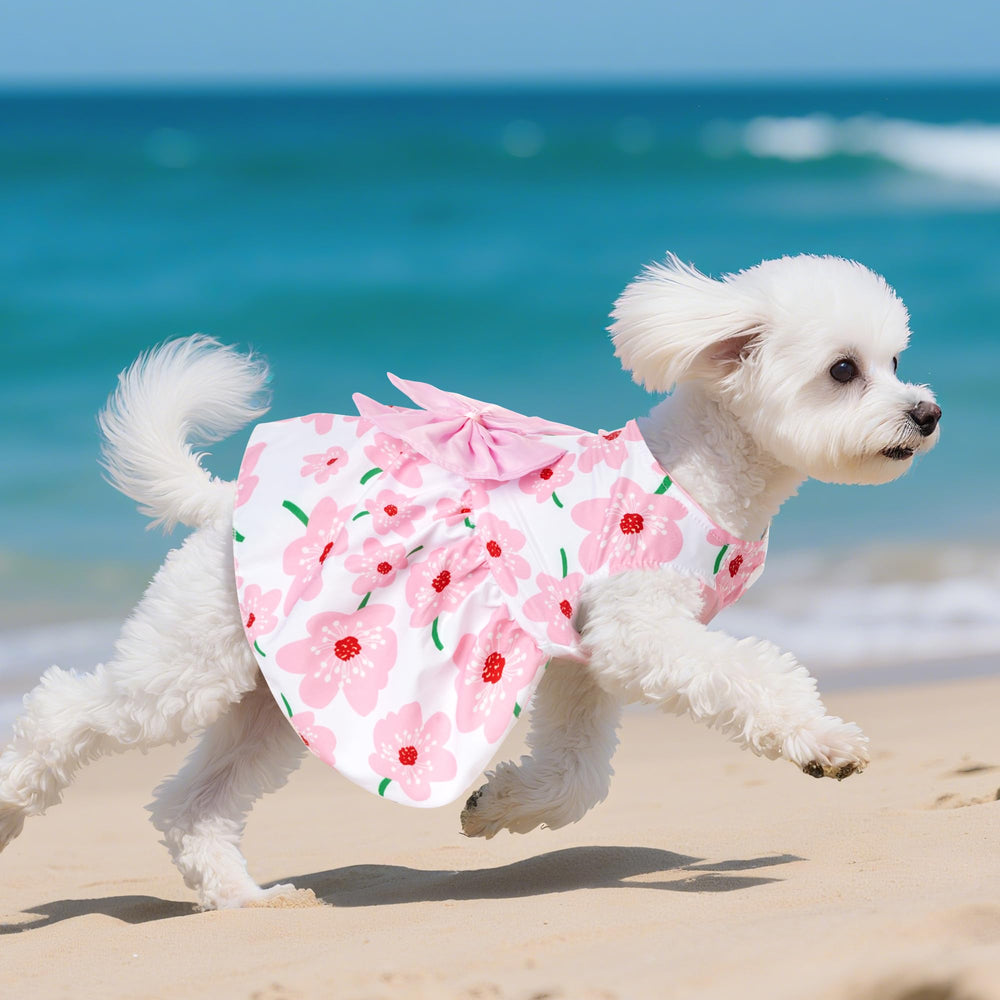 Motif fleurs rose sur la robe Choyaxo pour chien.
