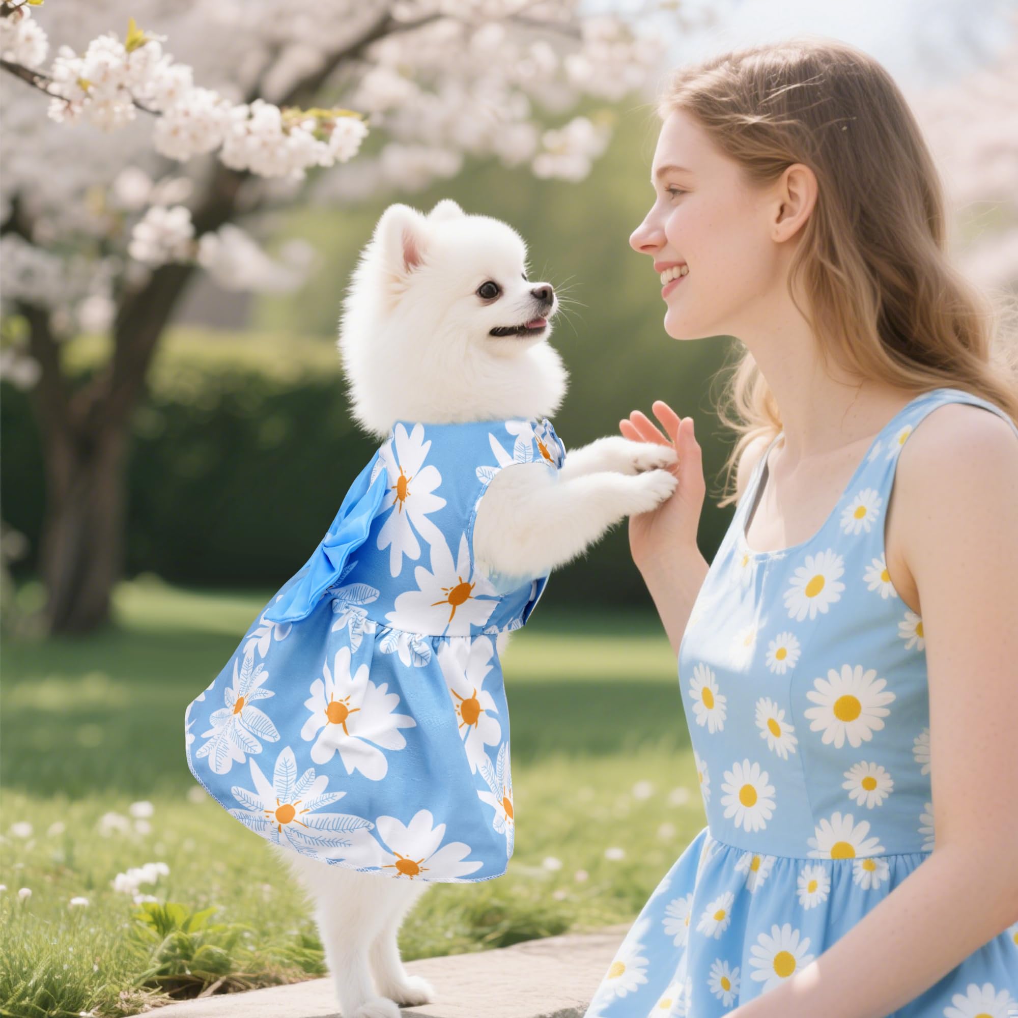 Robe florale choyaxo pour chat, parfaite pour sorties et photos.