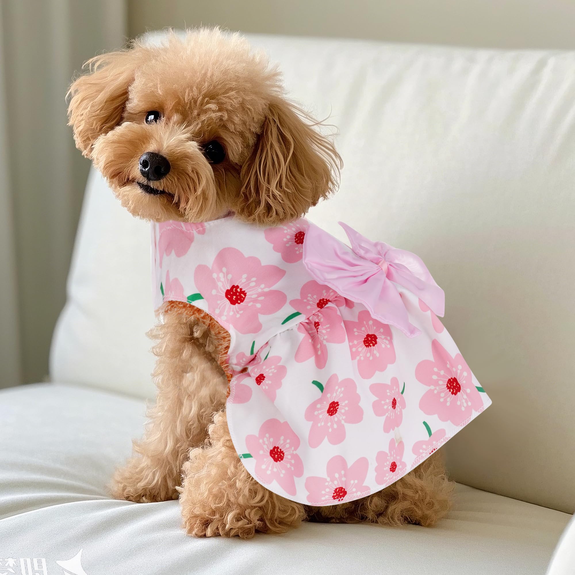 Robe florale Choyaxo pour chat, style estival pratique et confortable.