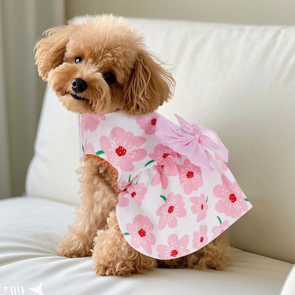 Robe florale Choyaxo pour chat, style estival pratique et confortable.