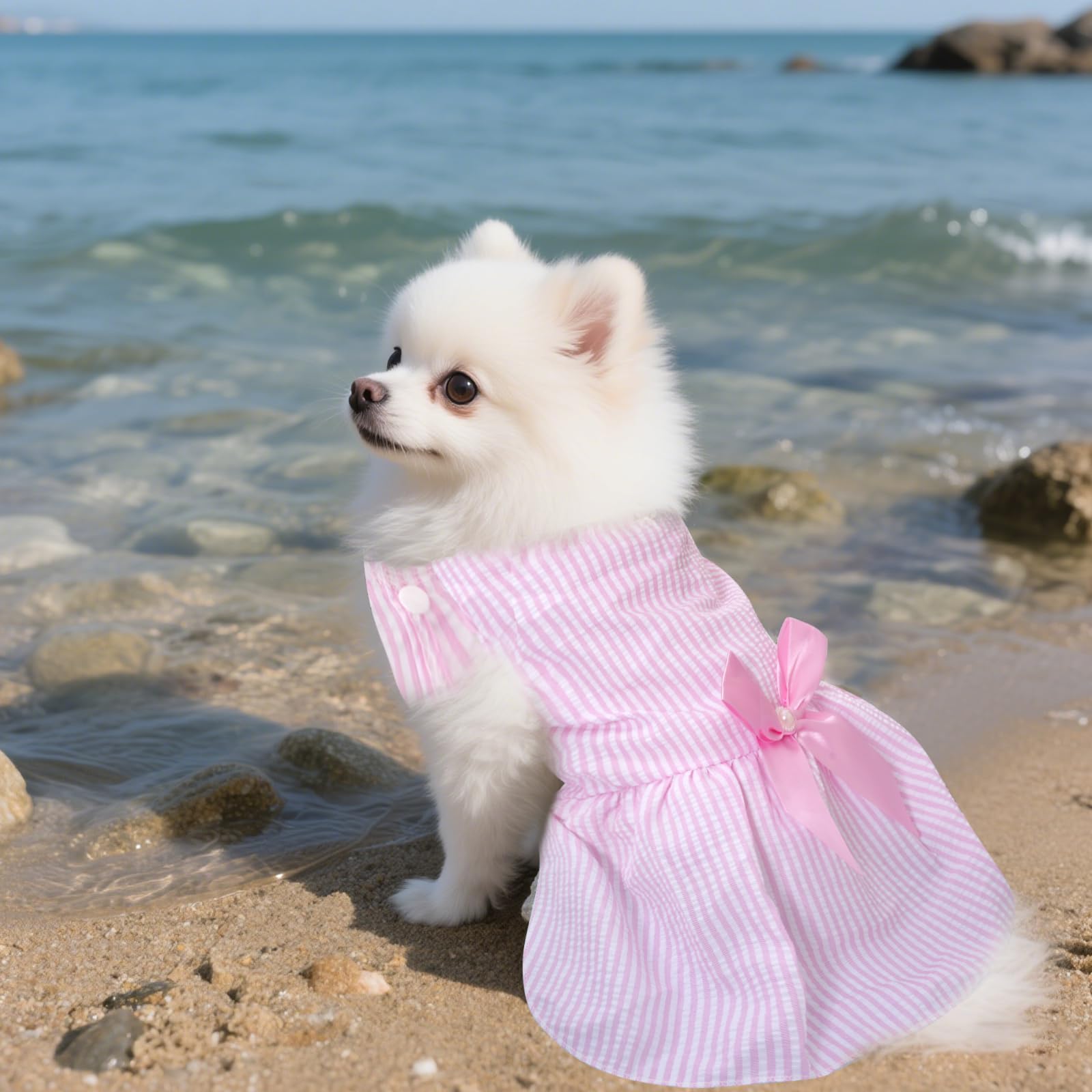 Robe Choyaxo avec accessoires coordonnés, style harmonieux pour chien.