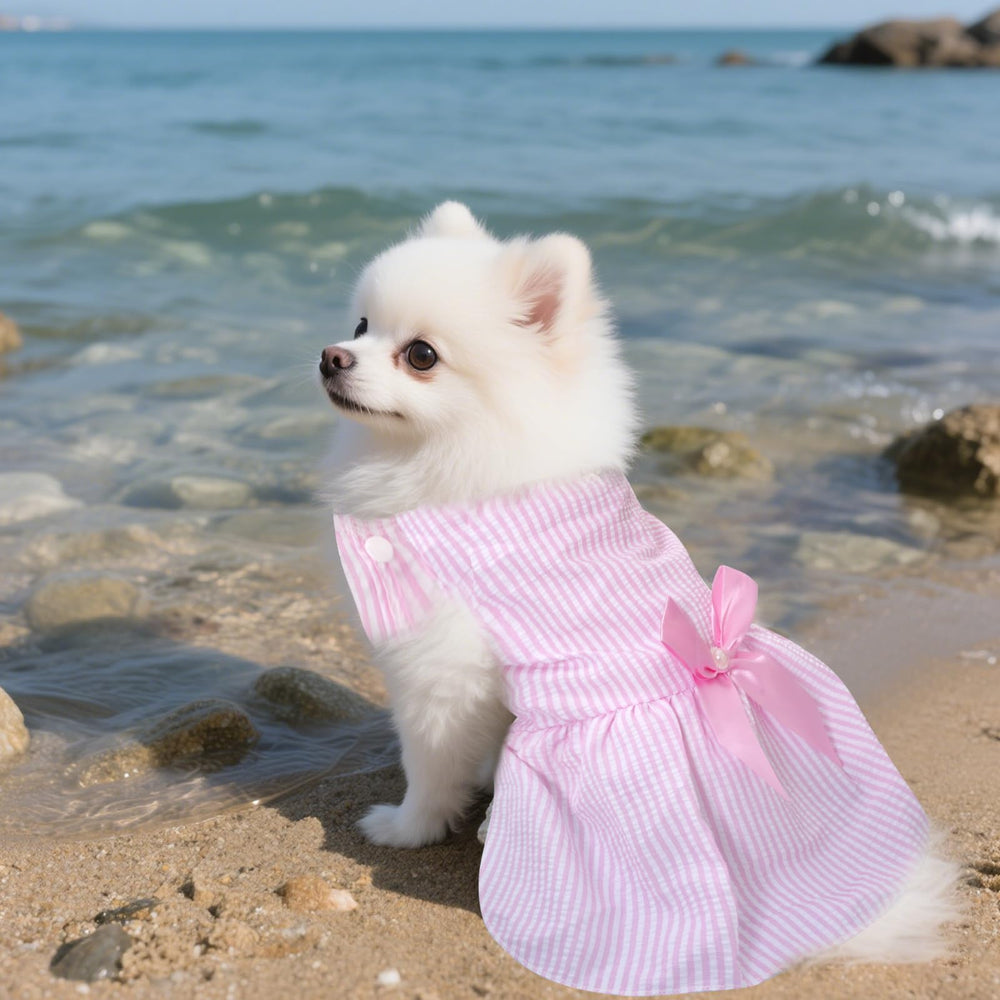 Robe Choyaxo avec accessoires coordonnés, style harmonieux pour chien.