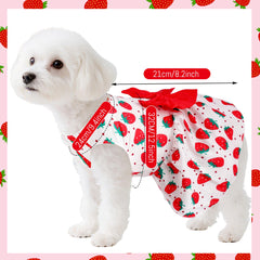 Robe légère pour chien et été, Choyaxo, confort et fraîcheur.