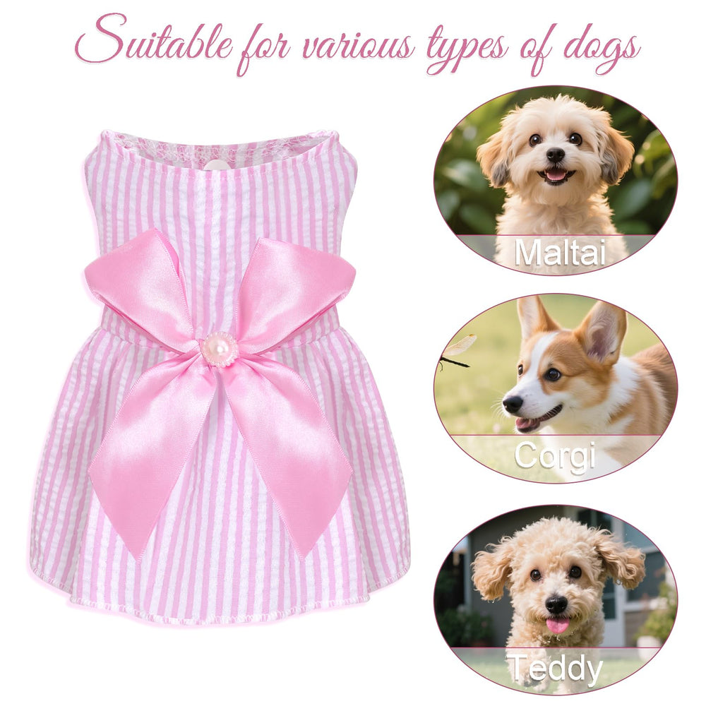 Robe Choyaxo pour chien en fête, facile à assortir avec accessoires.