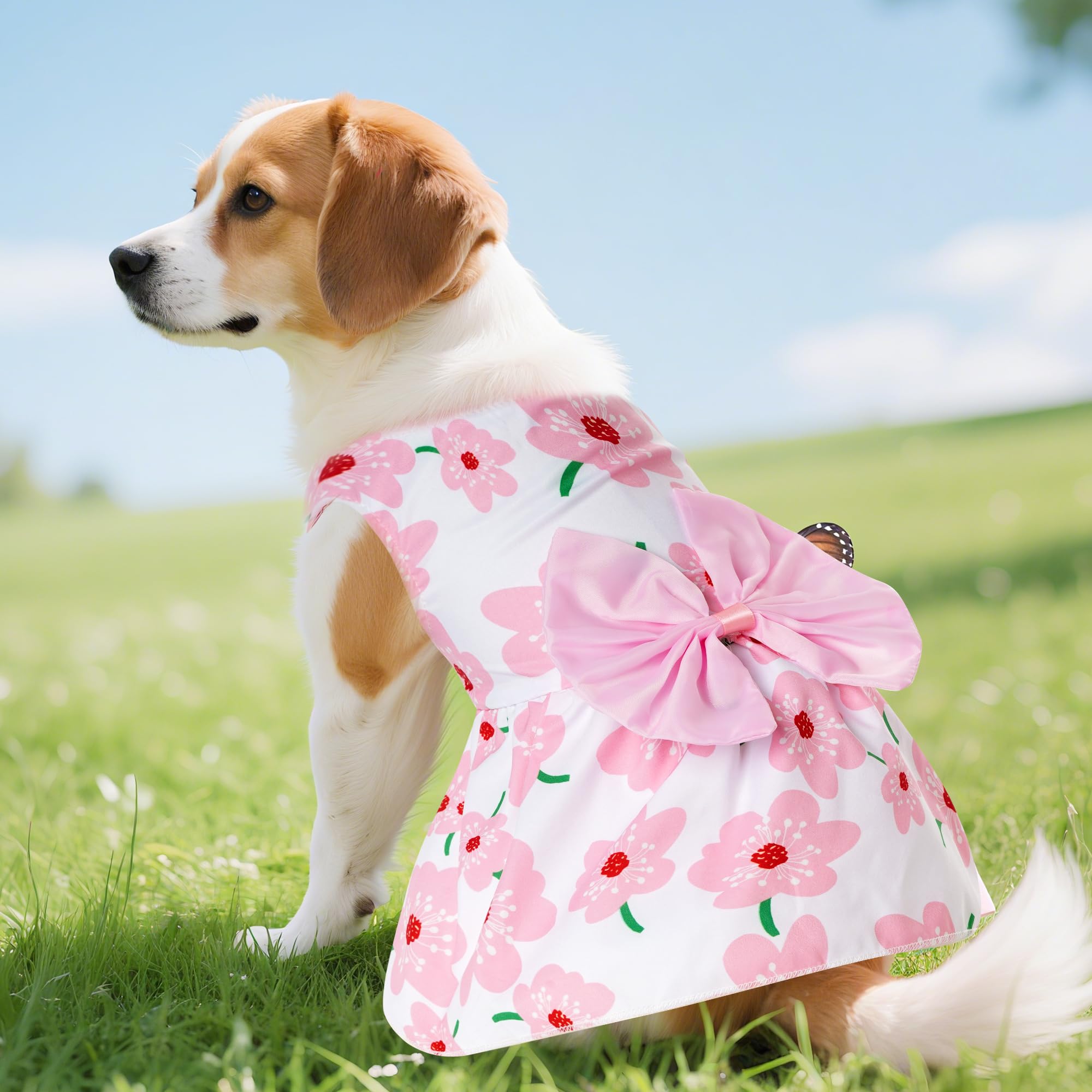 Choyaxo robe chien florale côté: design fluide et ajustement facile.