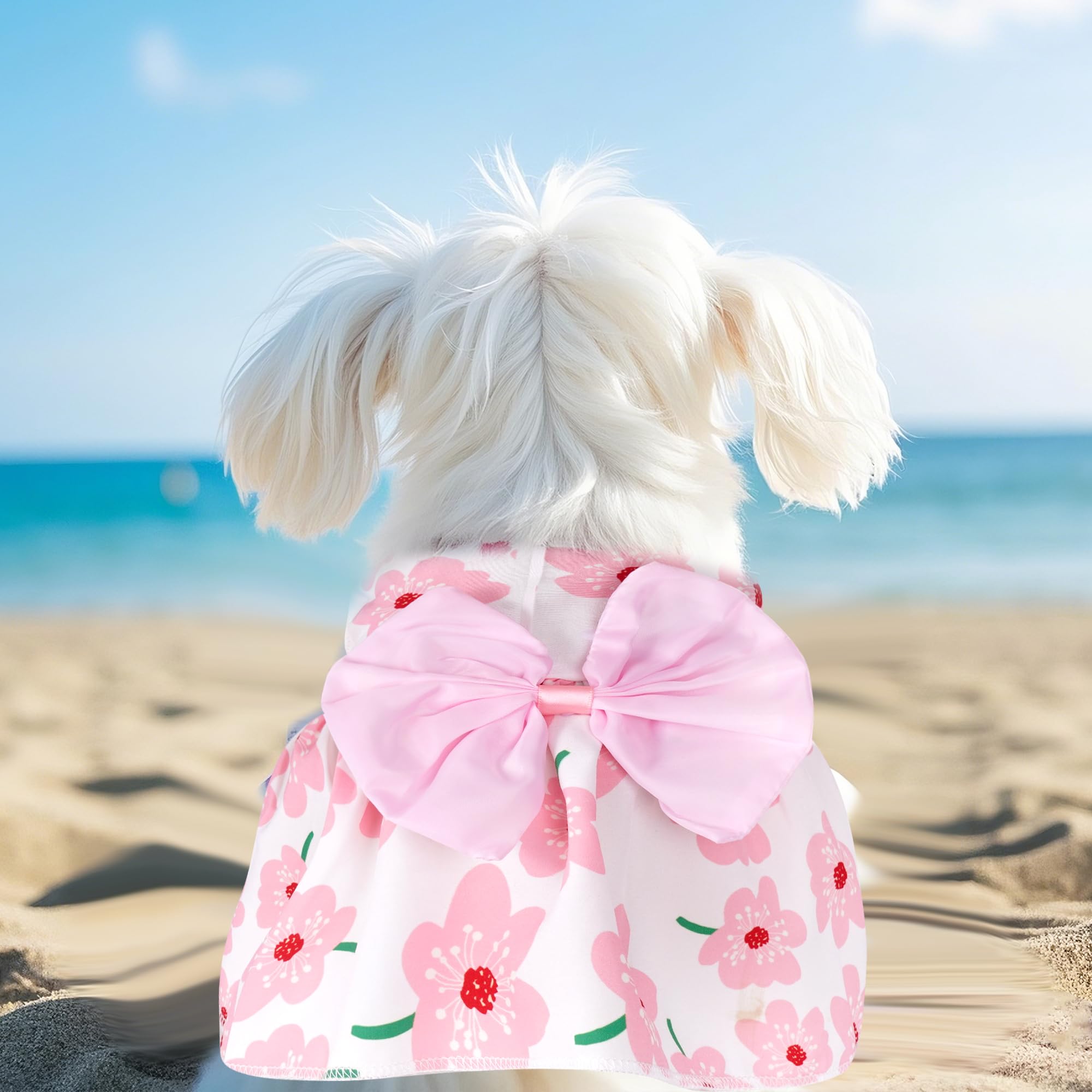 Robe florale Choyaxo pour chien, permet une grande liberté de mouvement lors des jeux.