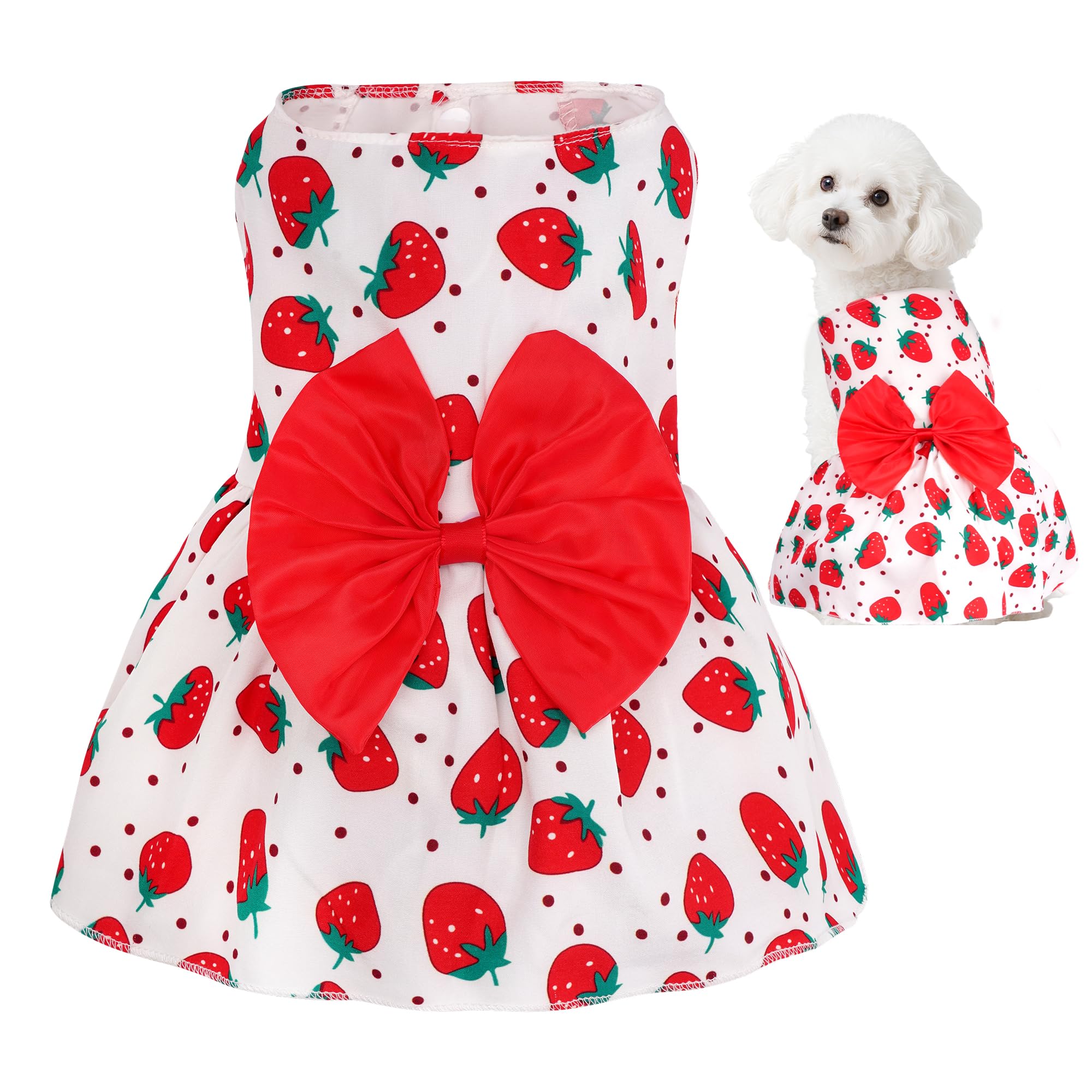 Robe florale pour chien Choyaxo, parfaite pour les promenades estivales.