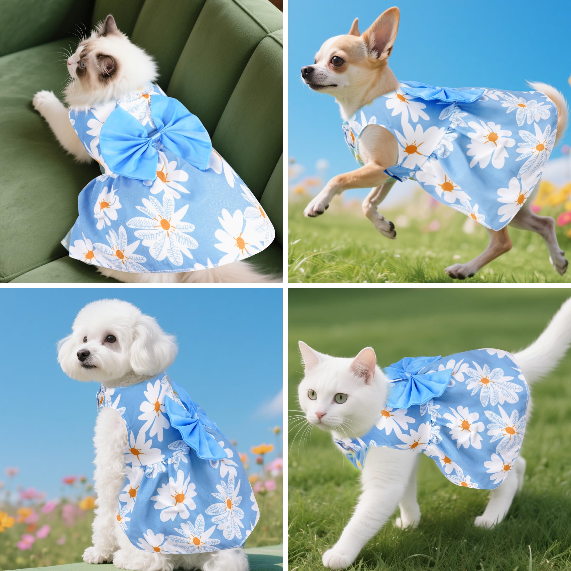 Robe florale choyaxo pour petit chien, look estival.