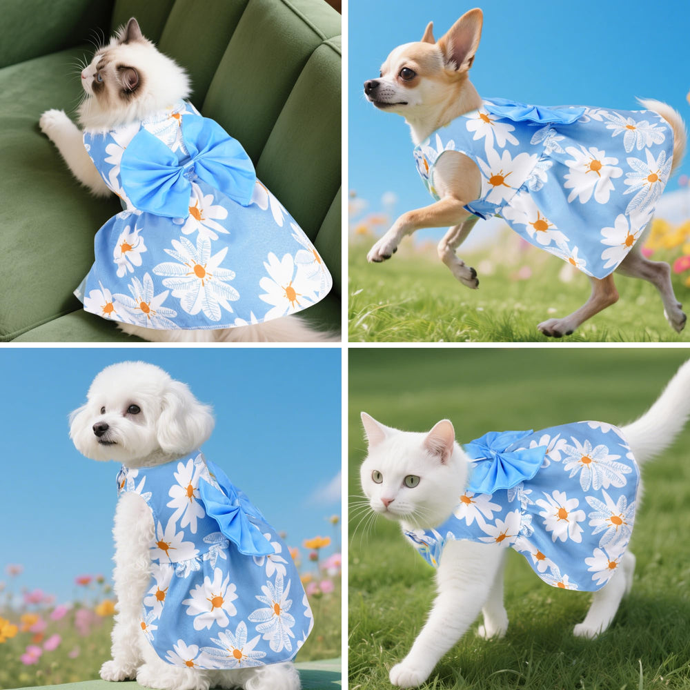 Robe florale choyaxo pour petit chien, look estival.