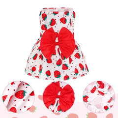 Robe dentelle choyaxo pour chien et chat – allure douce et pratique avec boutons.