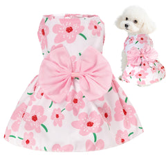 Choyaxo robe florale - aperçu léger pour chien et chat.