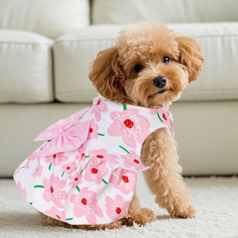 Robe florale choyaxo — usage extérieur, parfait pour les balades en été.
