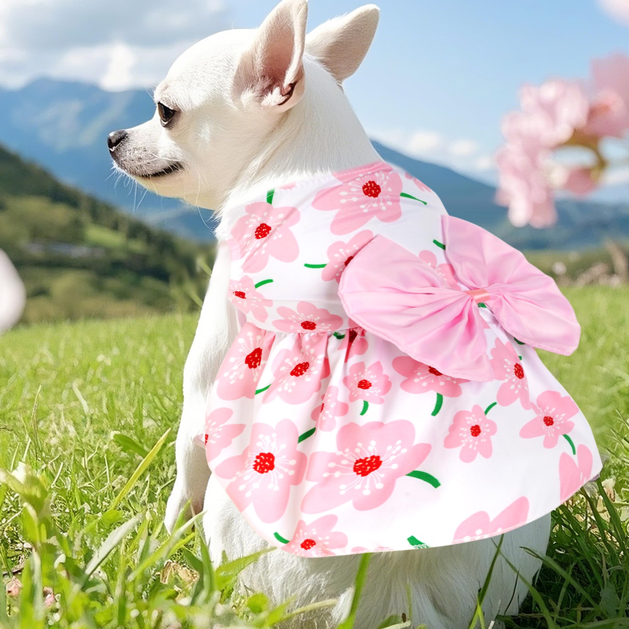 Choyaxo robe florale - couleur rose frais et motif floral.