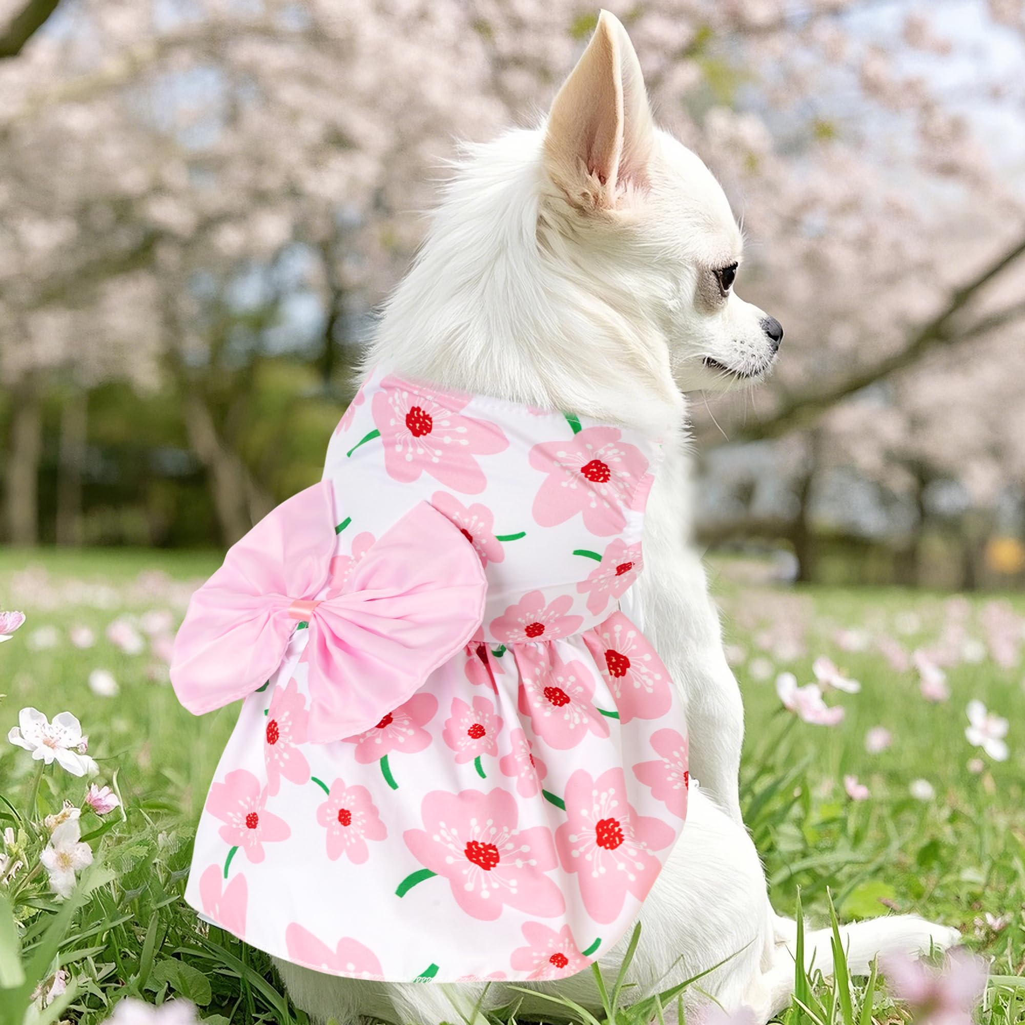 Robe florale choyaxo — gros plan motif fleurs, esprit estival et joyeux.