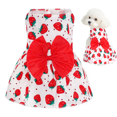 Robe florale choyaxo pour chien et chat, idéale pour les sorties quotidiennes