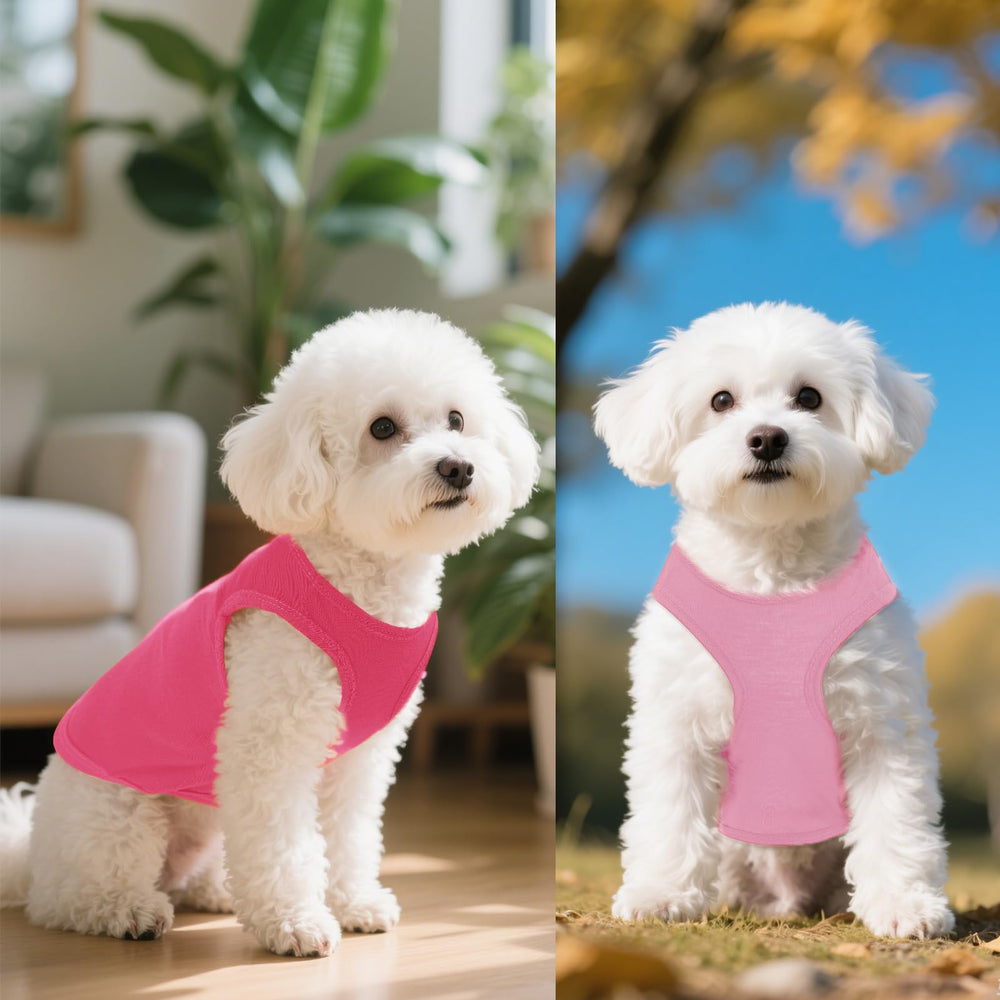 Ensemble t-shirts sans manches Choyaxo pour animaux, tailles XS à XL.