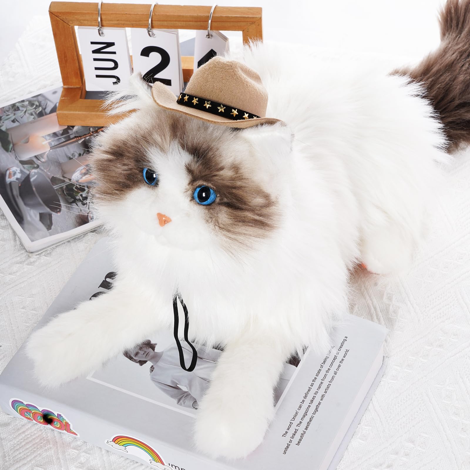 Choyaxo mode et cosplay quotidien pour chien ou chat avec ce chapeau.