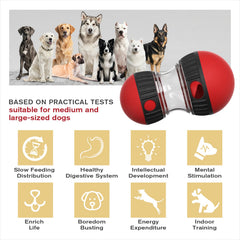 Chronanagese distributeur-gourmand-chien favorise alimentation lente pendant le jeu.