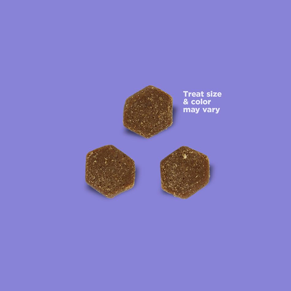 Pack CHRONOS Little-Bites : assortiment 4 saveurs pour variété et récompenses.