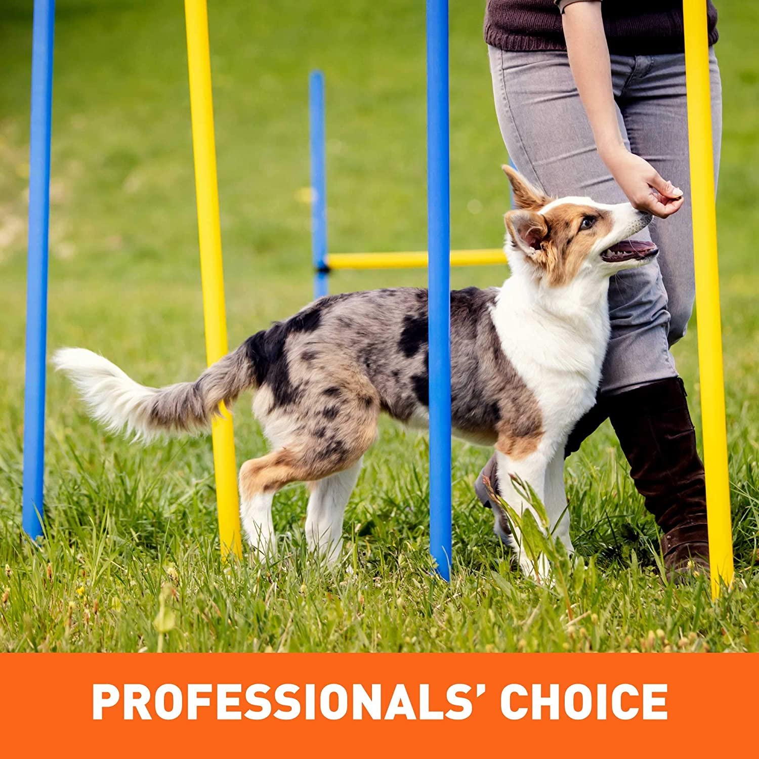 CHRONOS Tricky Trainers bloc-notes Pet Paws: accessoire exclusif inclus.