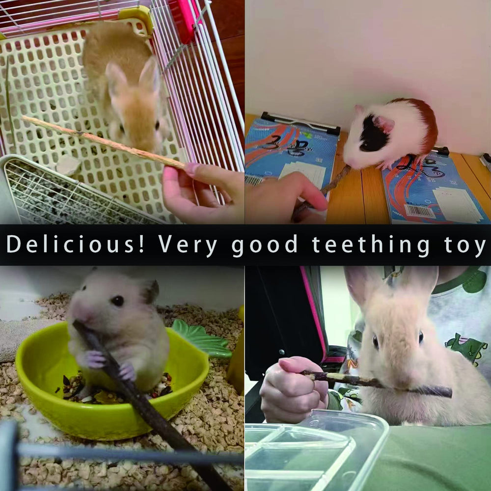 CHUHUAYUAN Bâton-pomme-dentition: contribue à une routine de rongement adaptée.