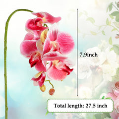 Chuangdi Phalaenopsis artificielle blanc jaune avec ventouse, habitat reptile lumineux.