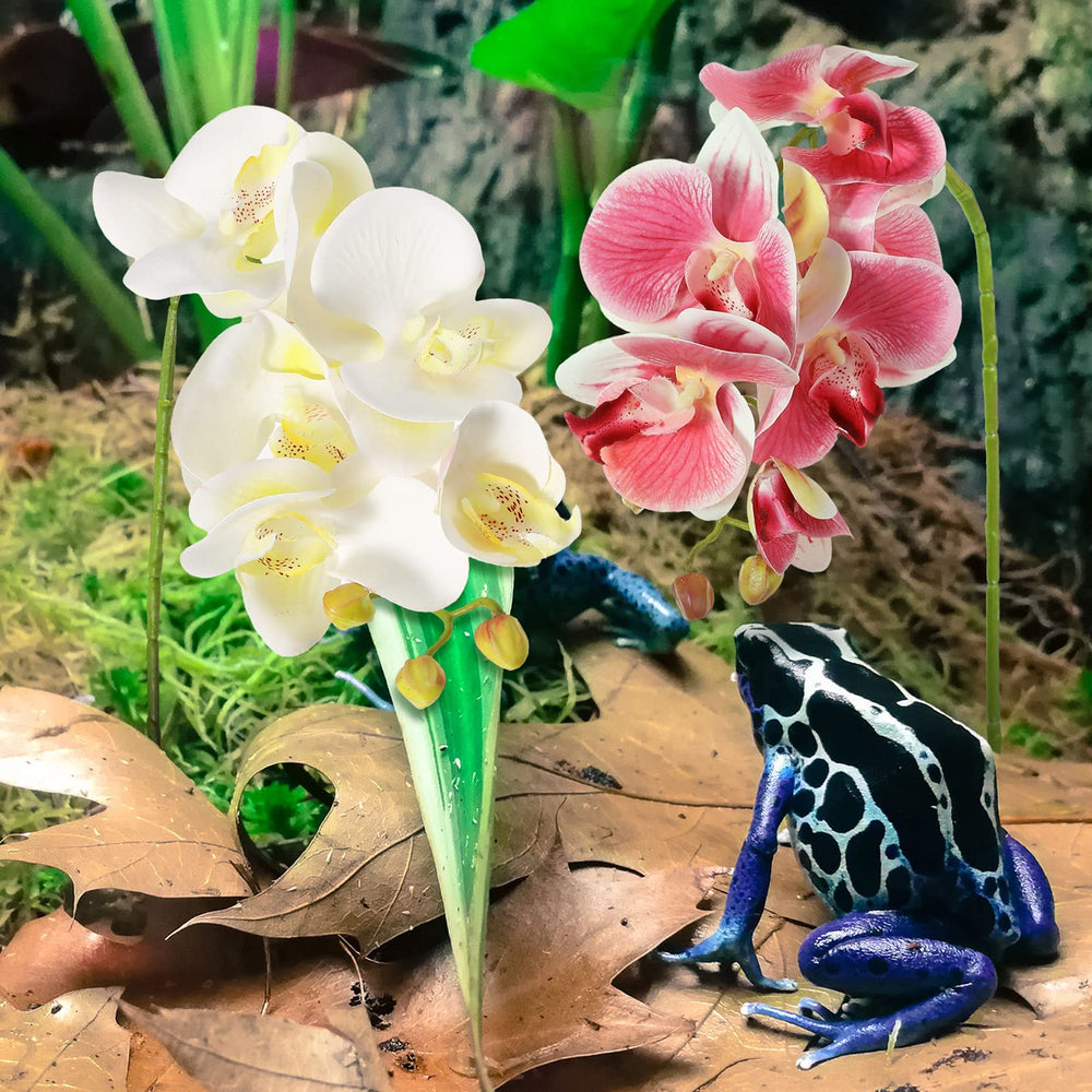 Paquet de deux Phalaenopsis artificielles Chuangdi pour décoration terrarium.