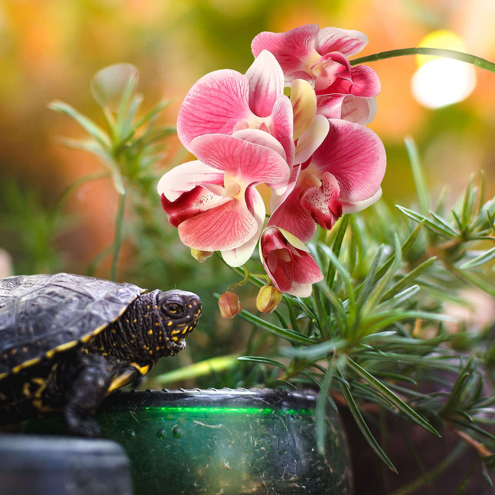 Chuangdi Phalaenopsis artificielle avec ventouses doubles pour fixation stable.