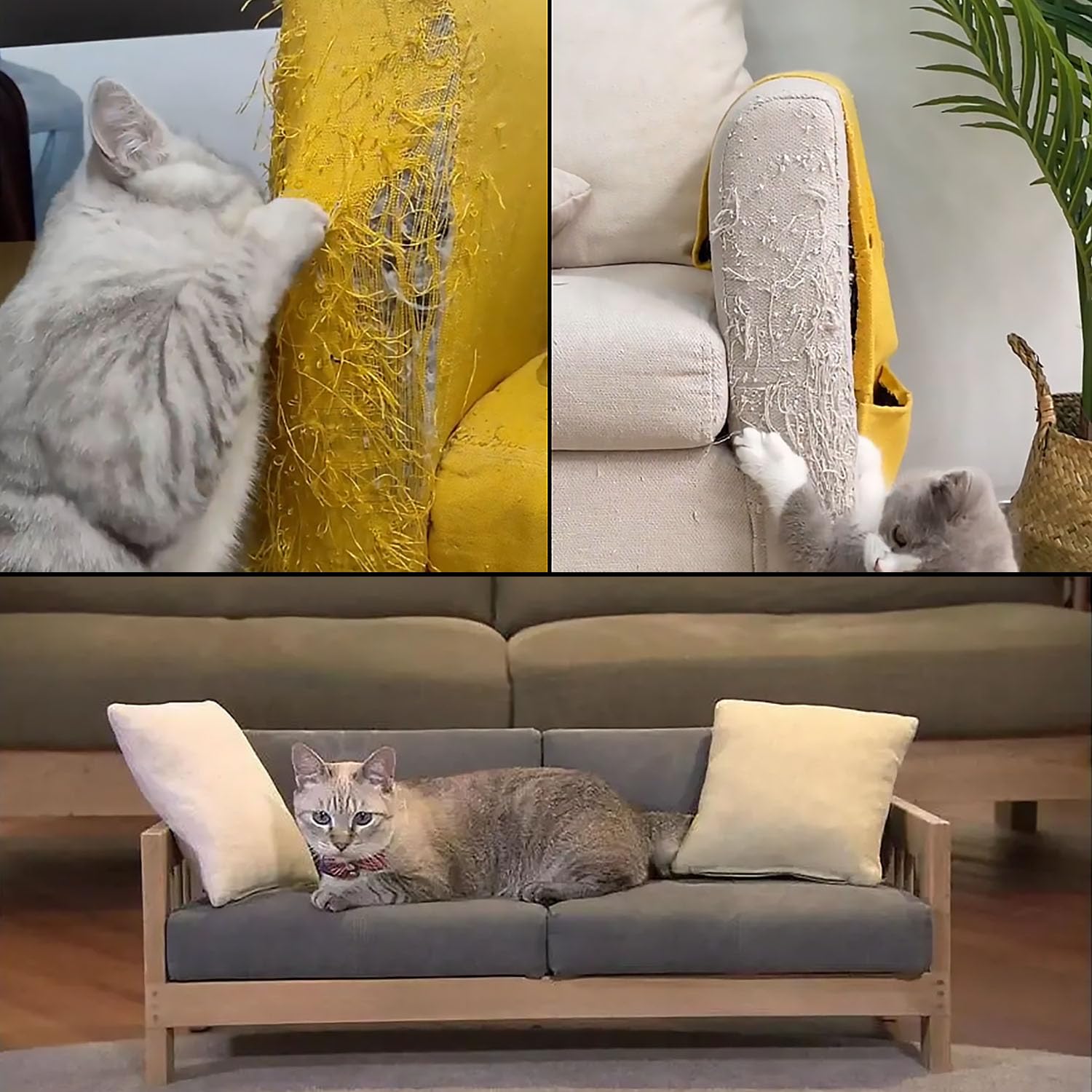 CHUANGSEED sécurité animale assurée par une surface non irritante.