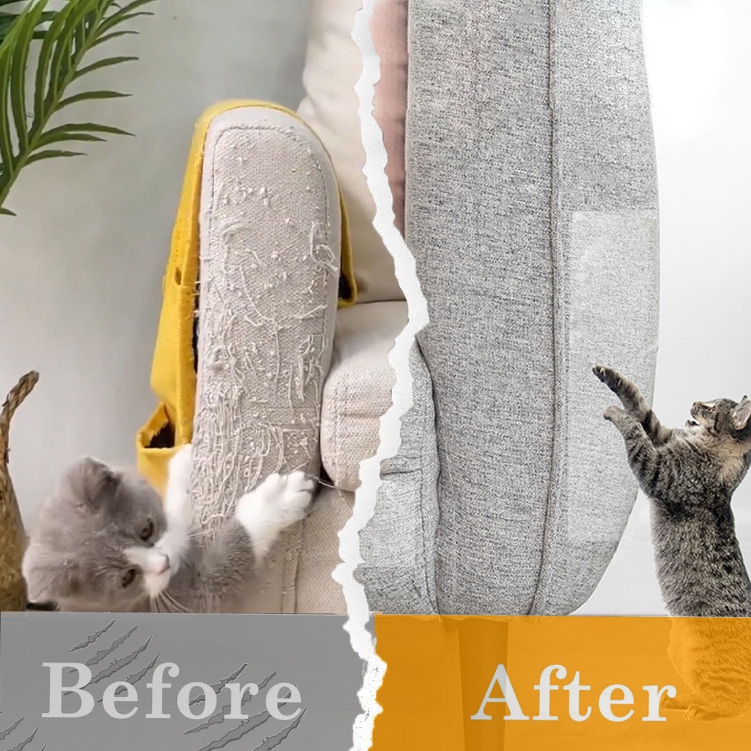 CHUANGSEED solution préventive pour limiter les griffures sur portes et tapis.