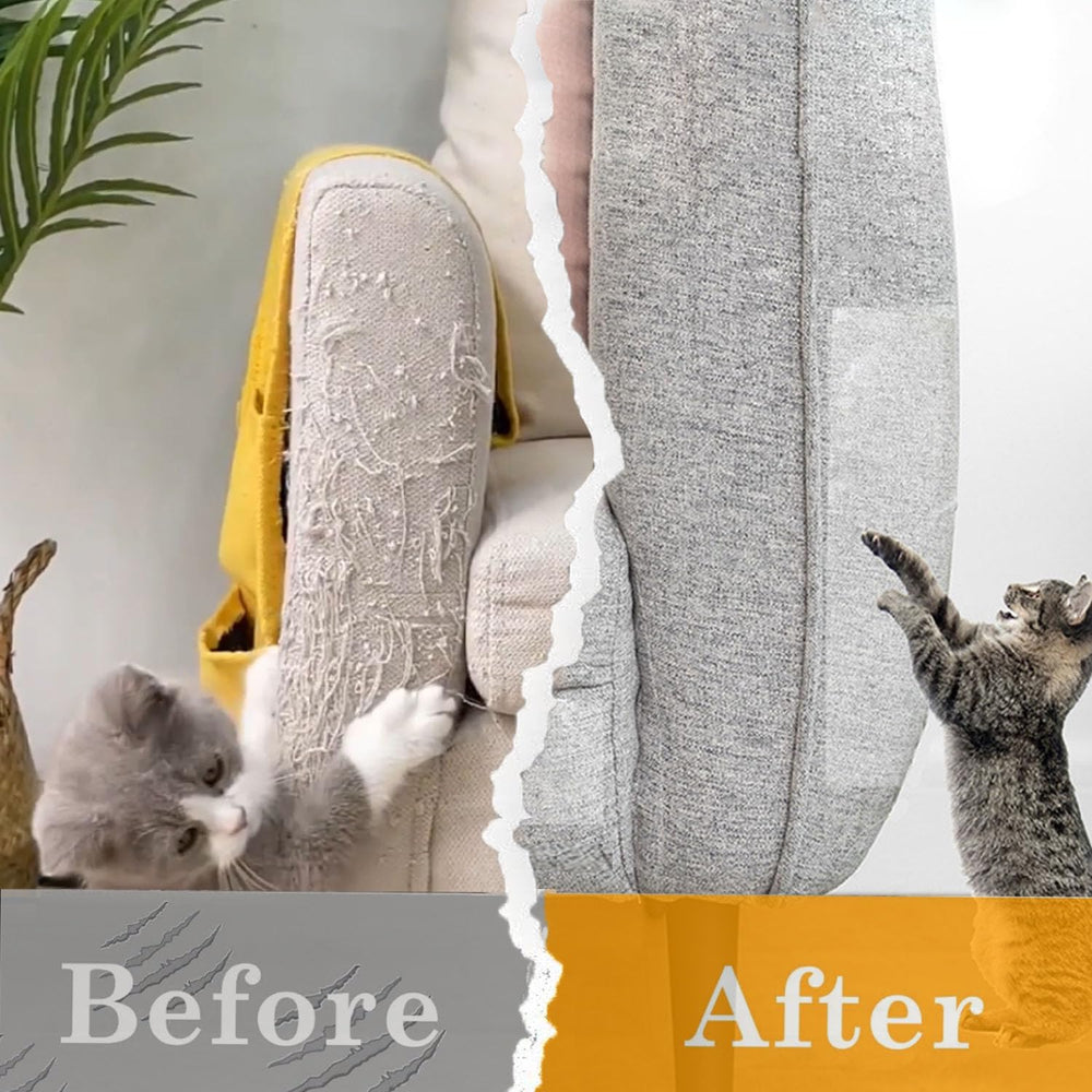 CHUANGSEED solution préventive pour limiter les griffures sur portes et tapis.