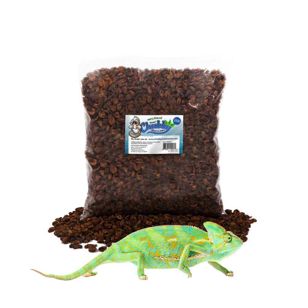 Chubby Mealworms: pupes de ver à soie séchées dans emballage pratique pour stocker la fraîcheur.