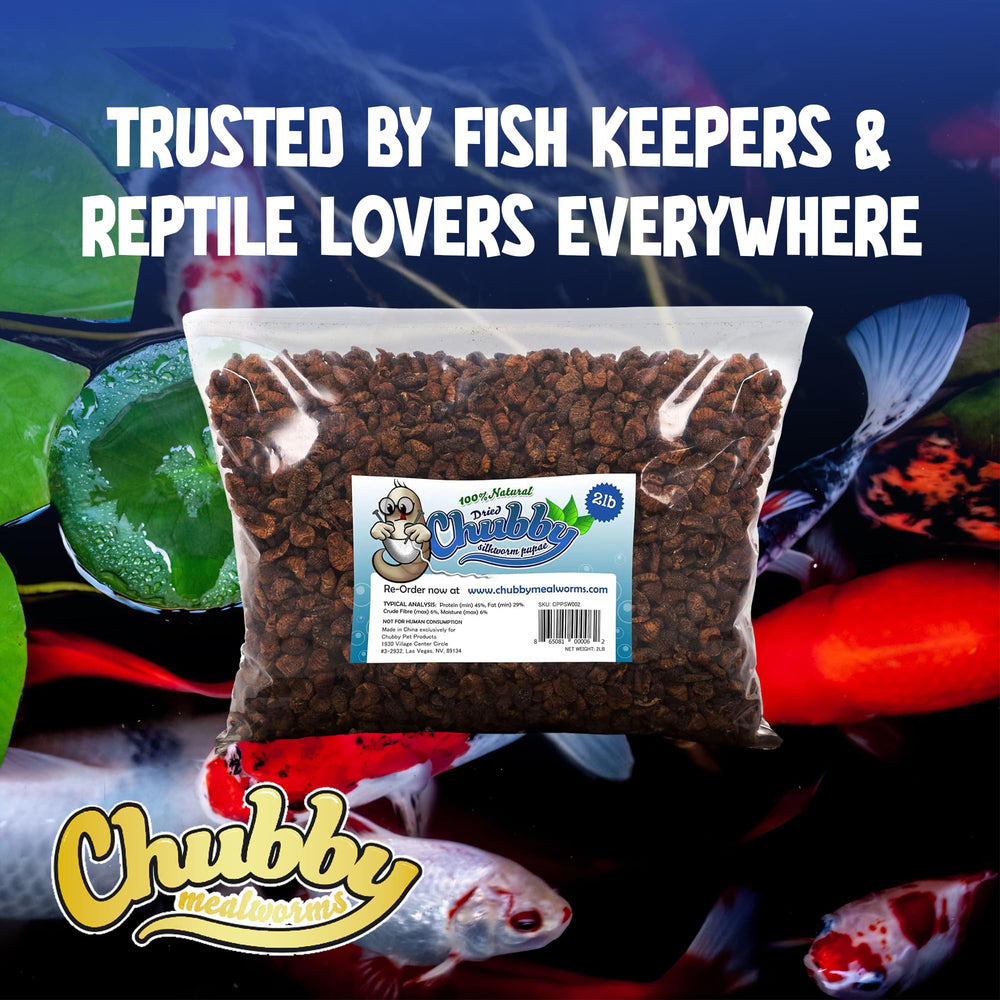 Chubby Mealworms: idéal pour koi et tortues avec une utilisation polyvalente.