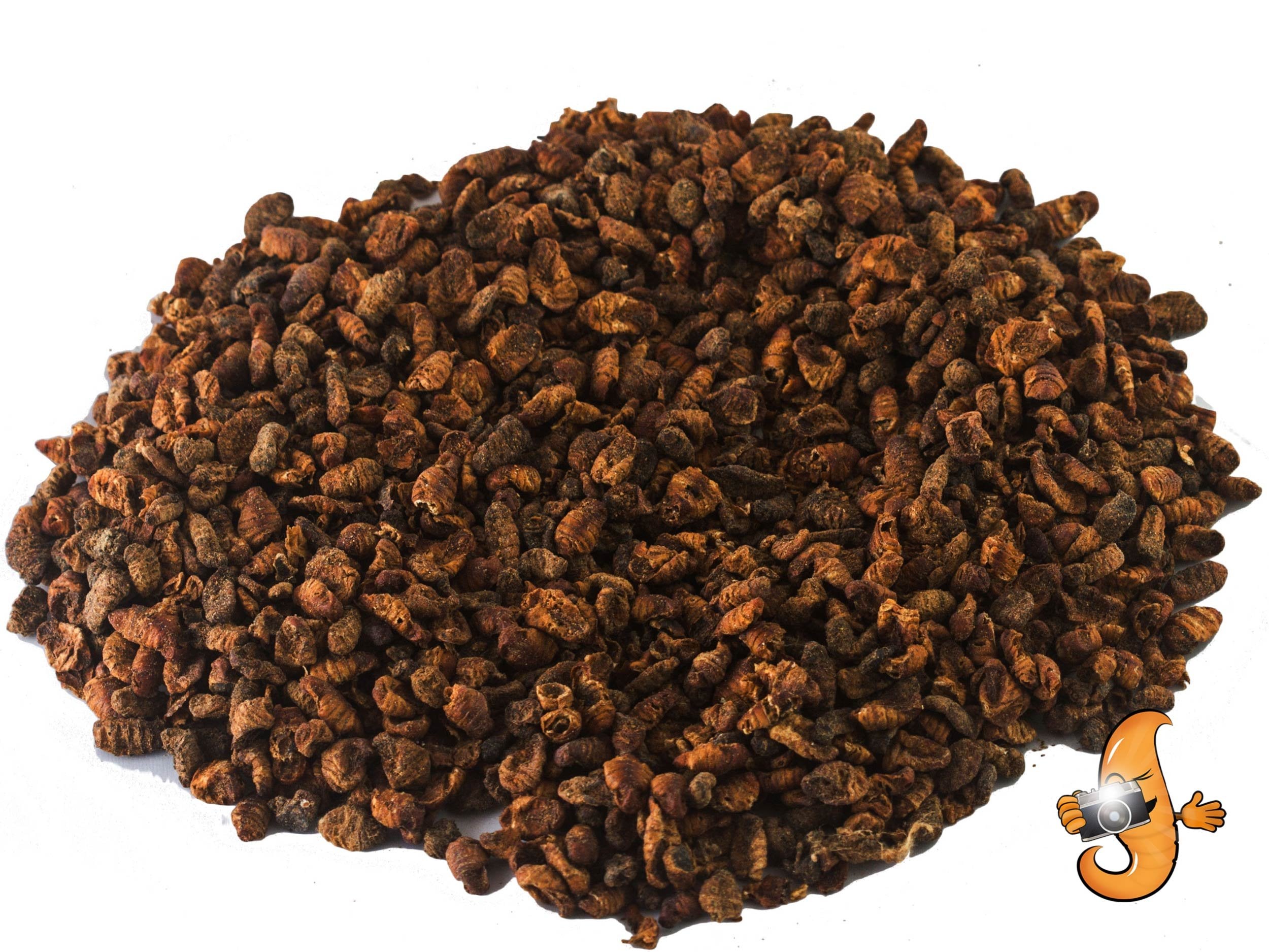 Chubby Mealworms: réhydratation rapide en 20–30 minutes pour ramollir les pupes.