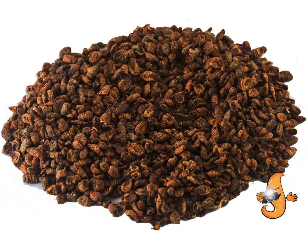 Chubby Mealworms: réhydratation rapide en 20–30 minutes pour ramollir les pupes.