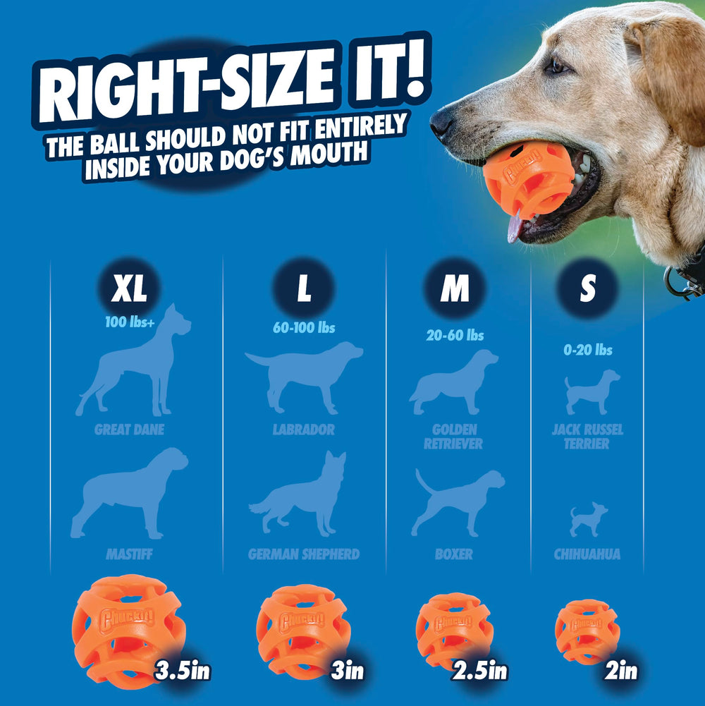 Chuckit! Air Fetch Ball flotte sur l'eau pour jeux piscine et plage.