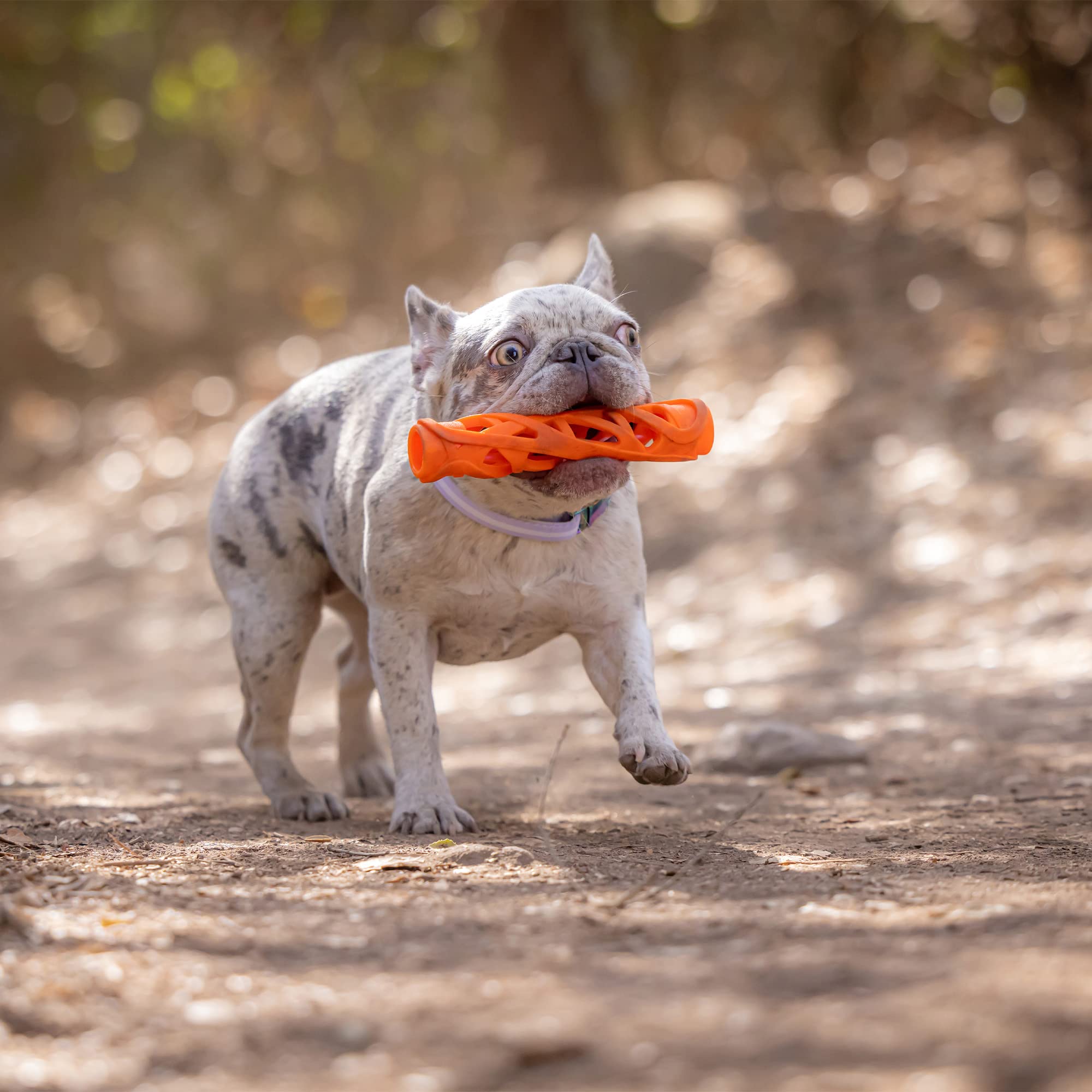 Chuckit! Air Fetch Stick compatible avec les lancers Chuckit.