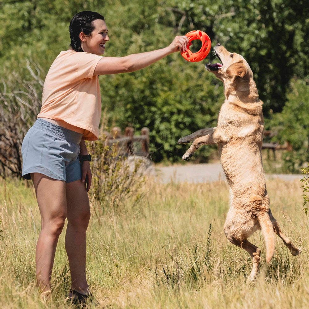 Idéal pour chiens brachycéphales lors de sessions de jeu confortables.