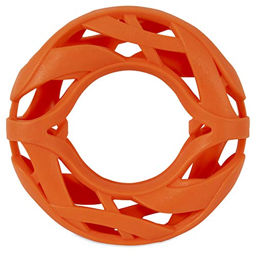 Chuckit! Air Fetch Wheel en mouvement sur terrain, favorise une course longue et naturelle.