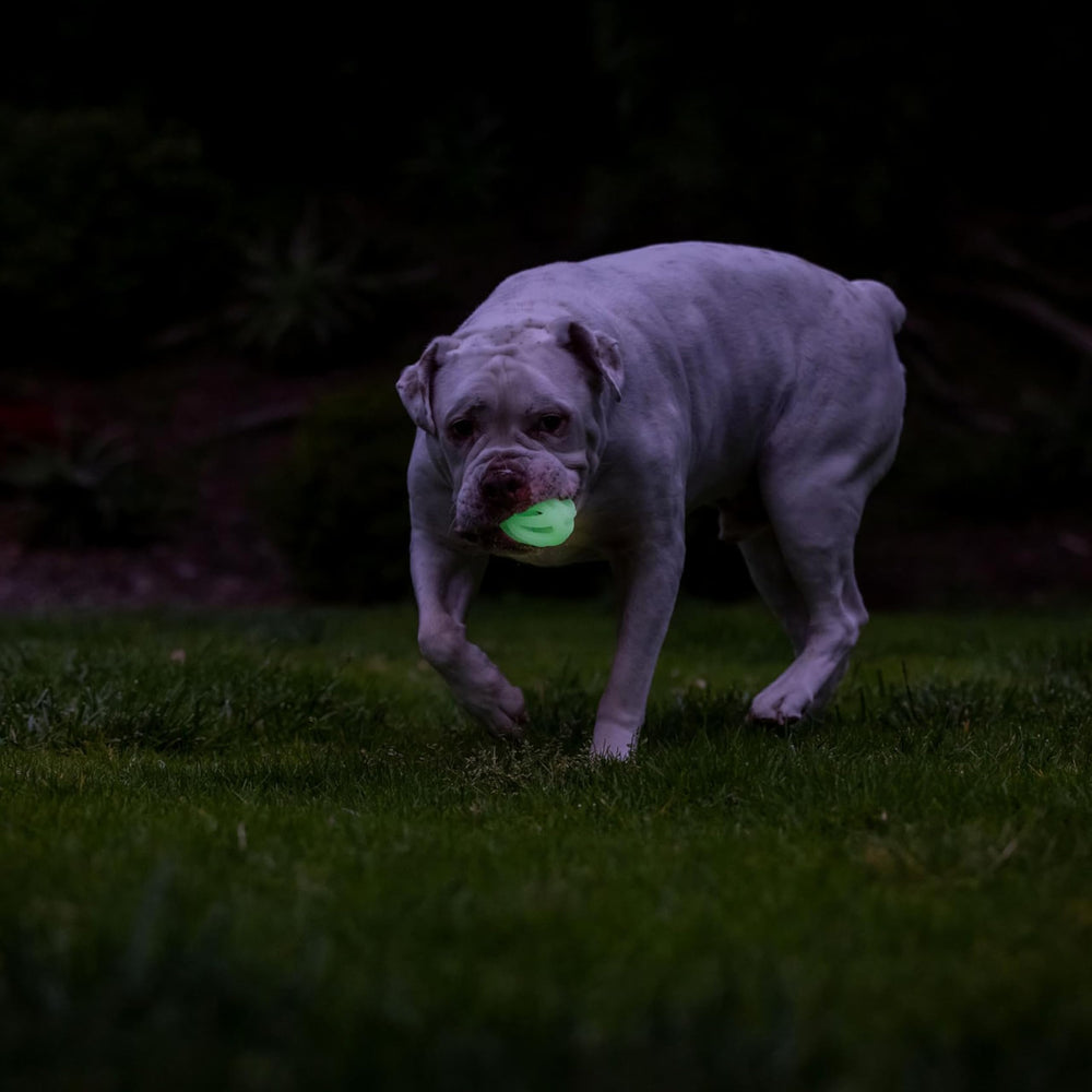 Chuckit! Air Glow Ball joue aussi bien le jour que la nuit avec l’éclairage vert.