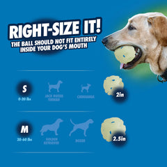 Chuckit! Air Glow Ball se combine avec le launcher pour des lancers plus longs.