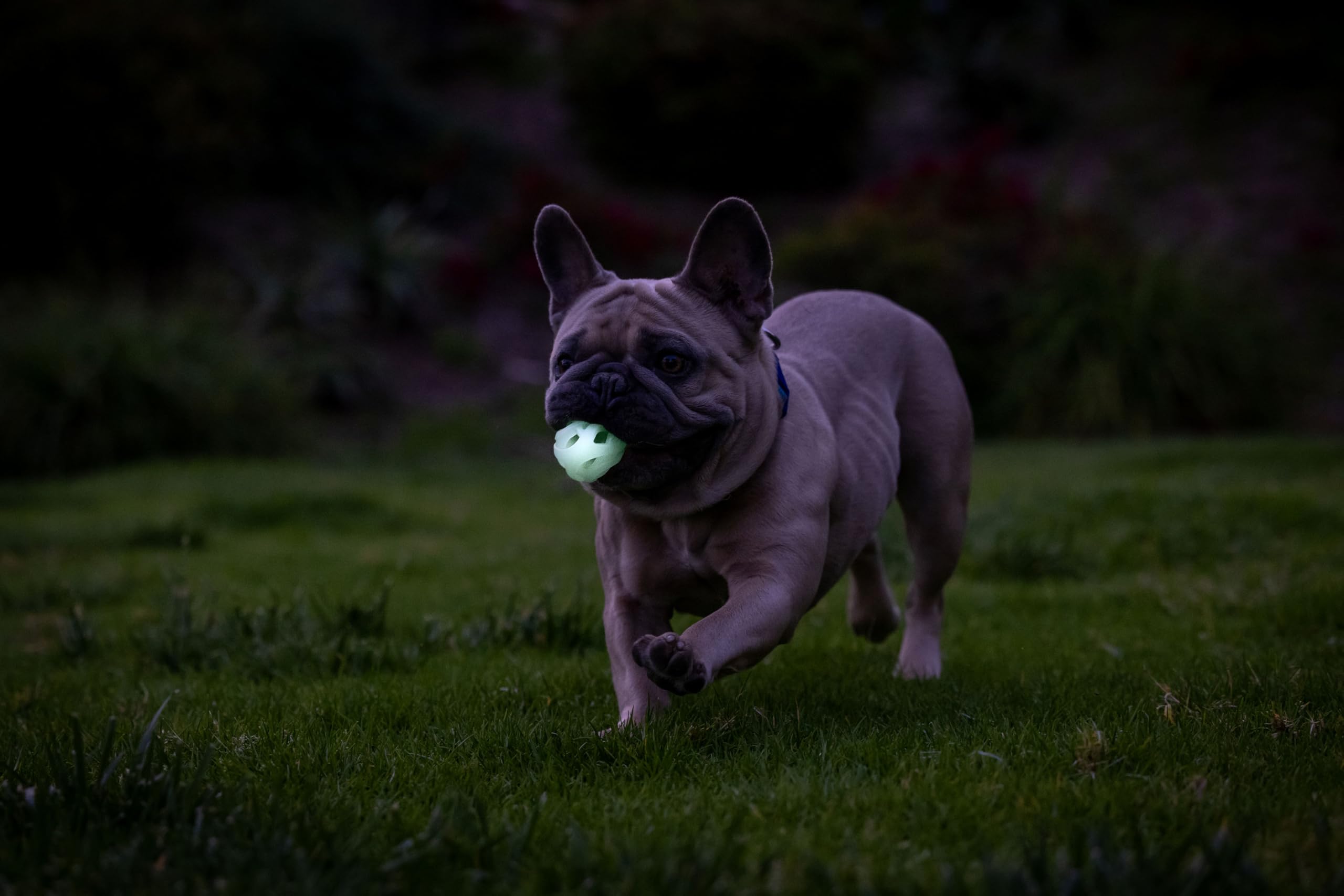 Chuckit Air Glow Ball petite taille adaptée pour chiens 0-20 livres.