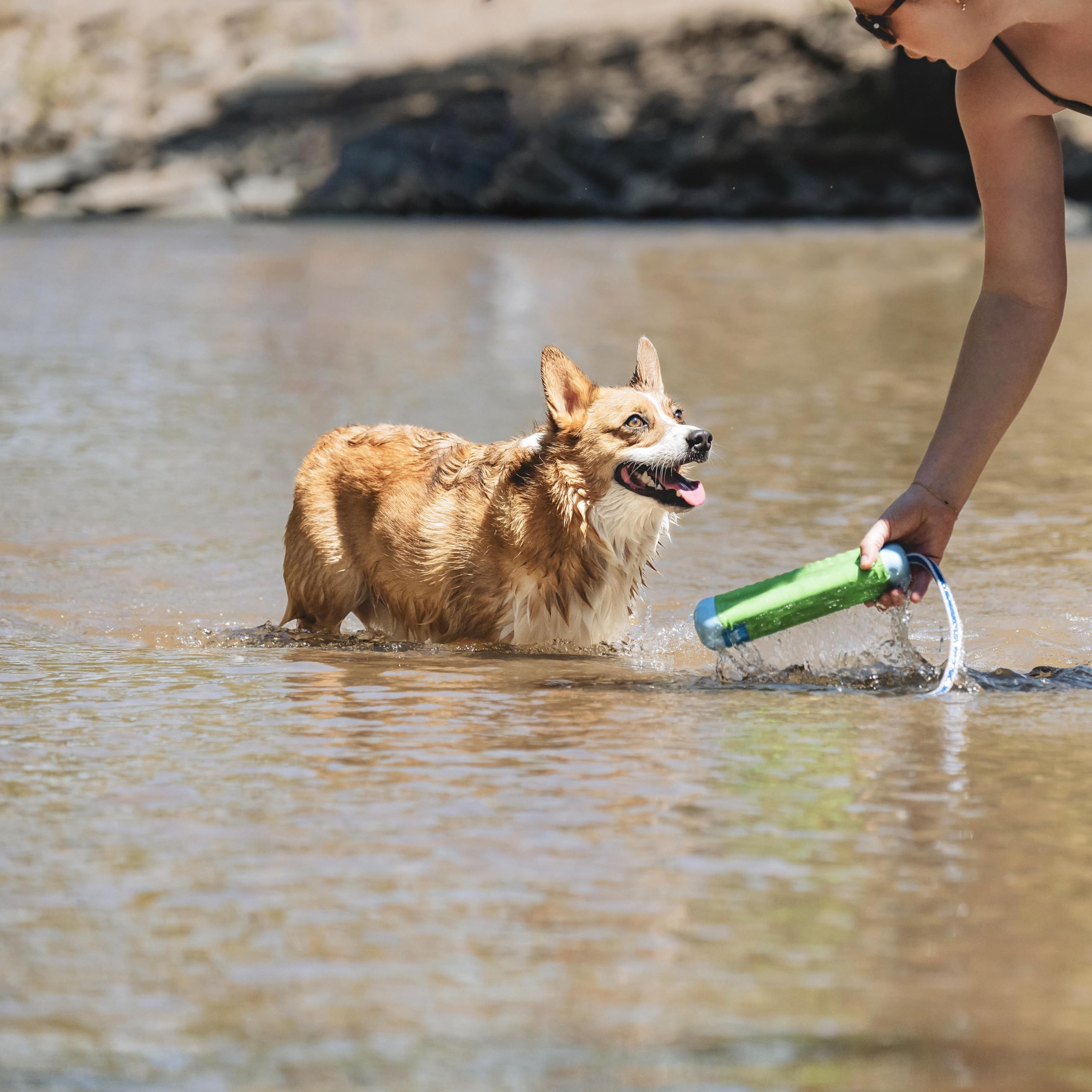 Chuckit! Amphibious Bumper, jouet canin polyvalent: stimule activité et complicité