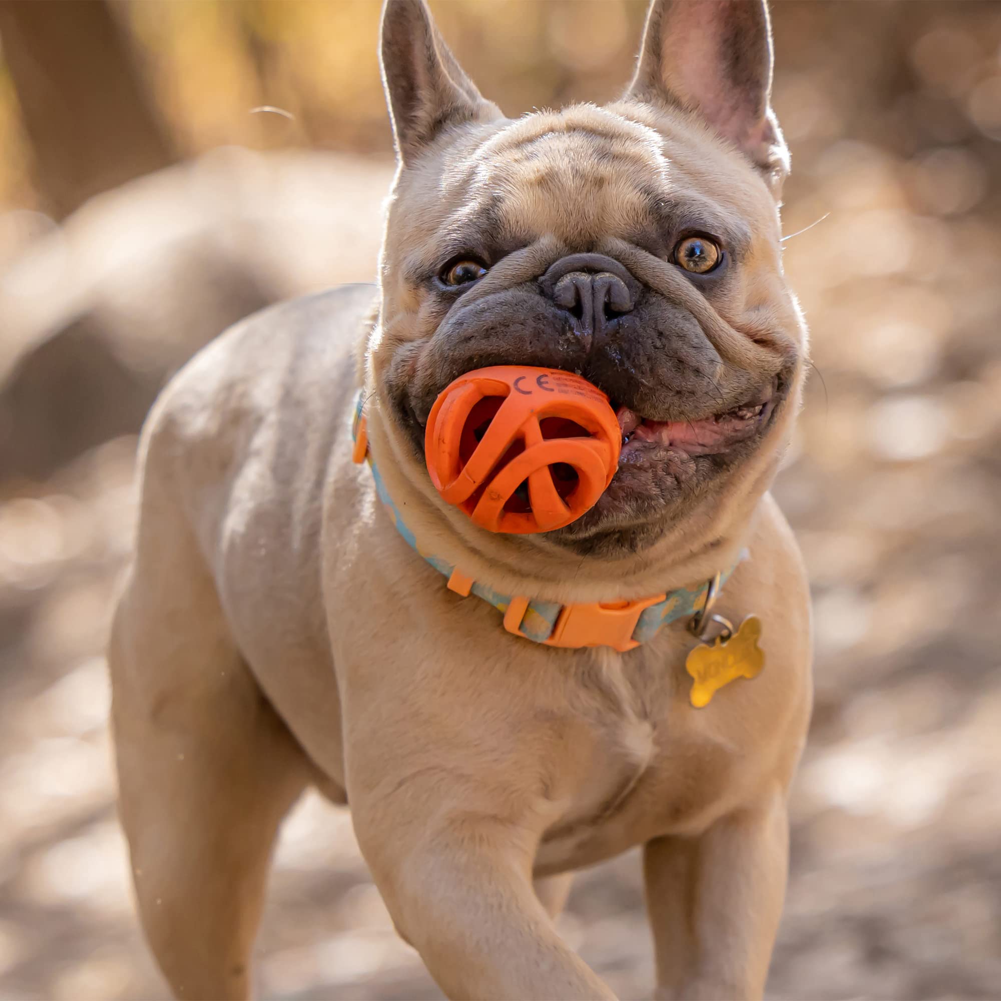 Balle Chuckit Air Fetch de taille moyenne 2,5 pouces adaptée à 9–27 kg.