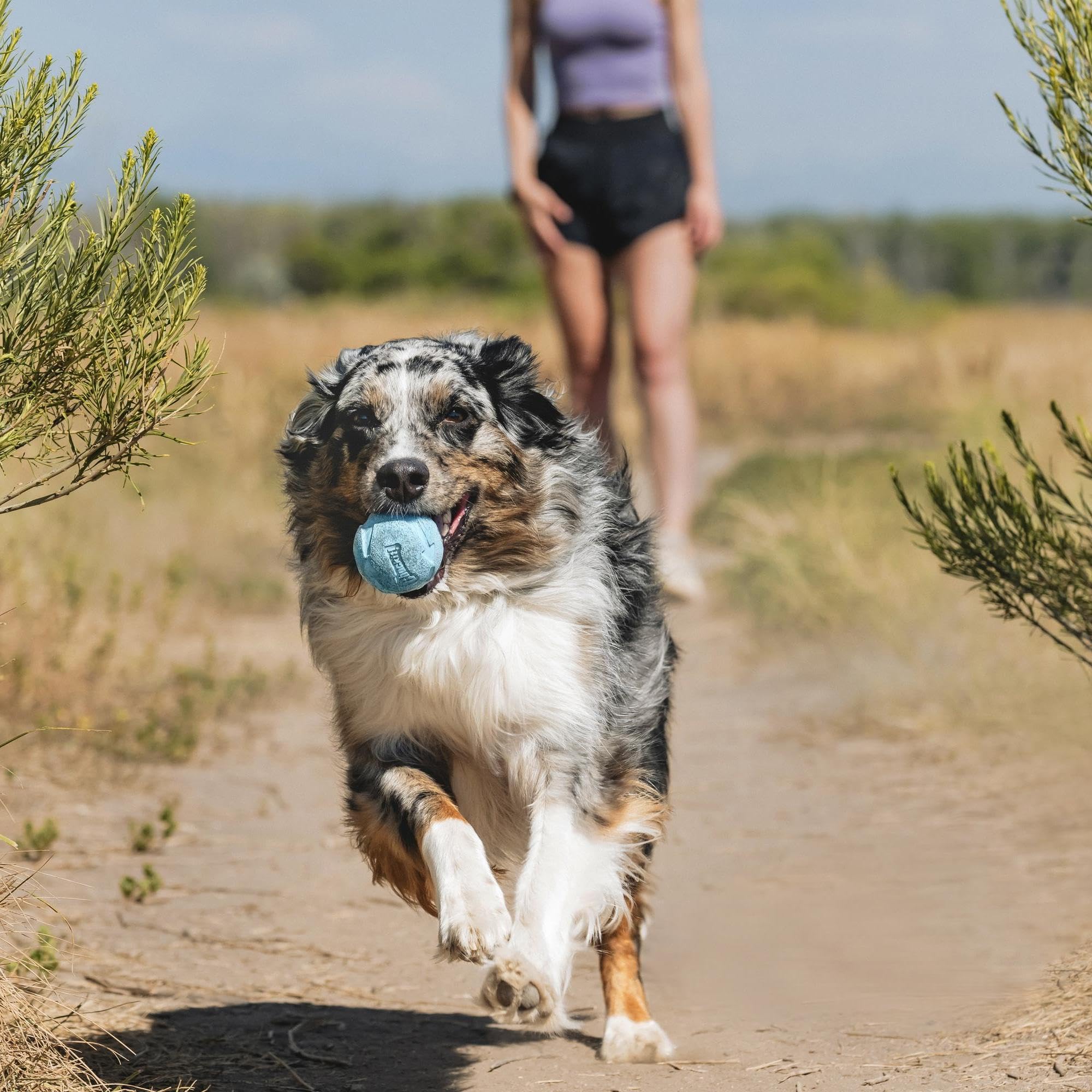 Chuckit! Balle durable en caoutchouc pour rebond intense.