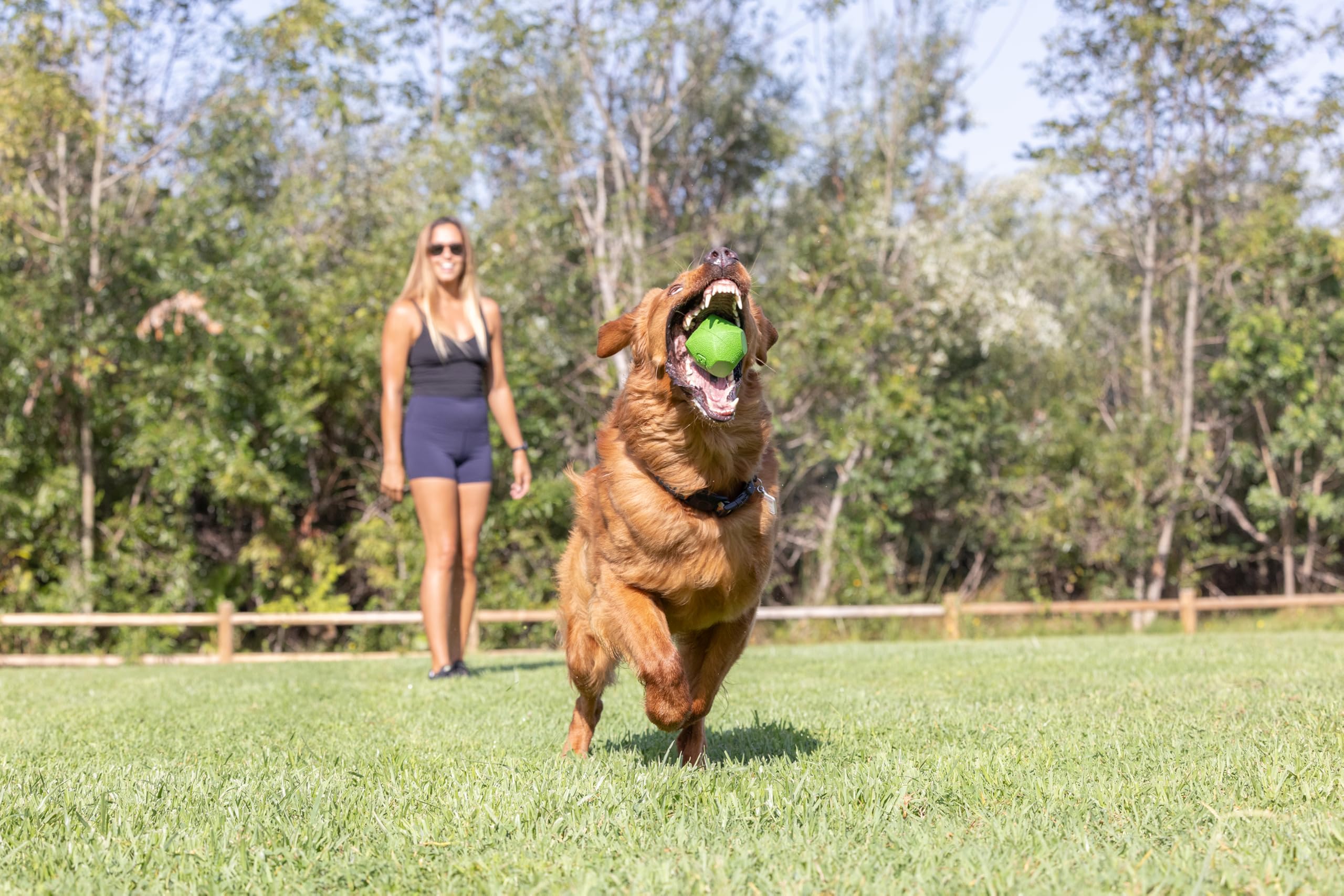 Balle Chuckit! pour chiot – rebond imprévisible pour exercice dynamique.