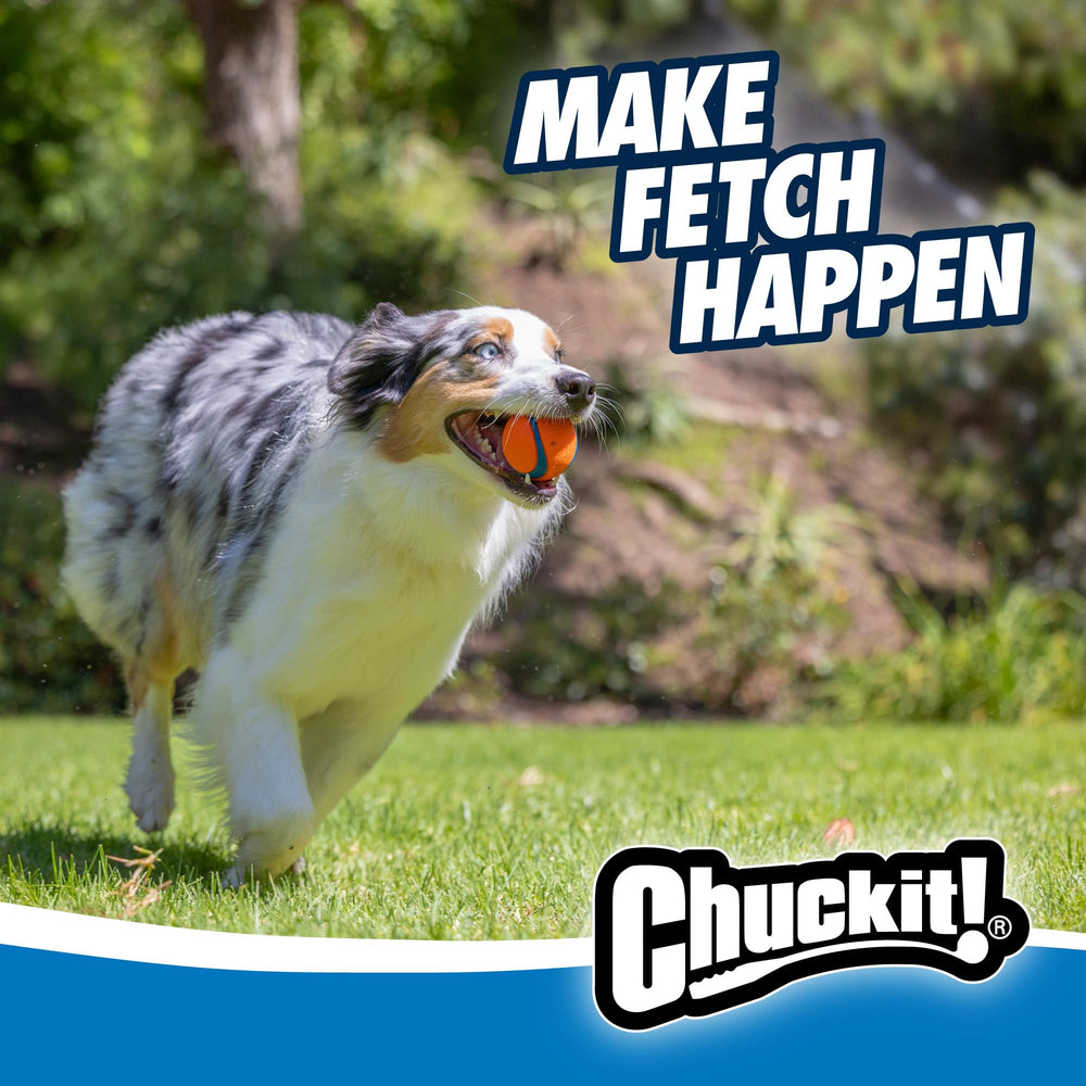 Balle Chuckit! Fetch haute rebond, parfaite pour des lancers énergiques.