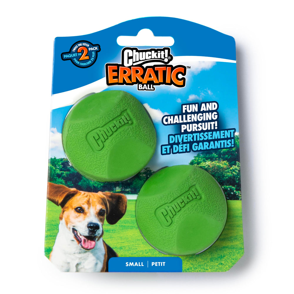 Balle Chuckit! interactive erratique pour petit chien – stimulation ludique.